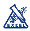 Excel Logo